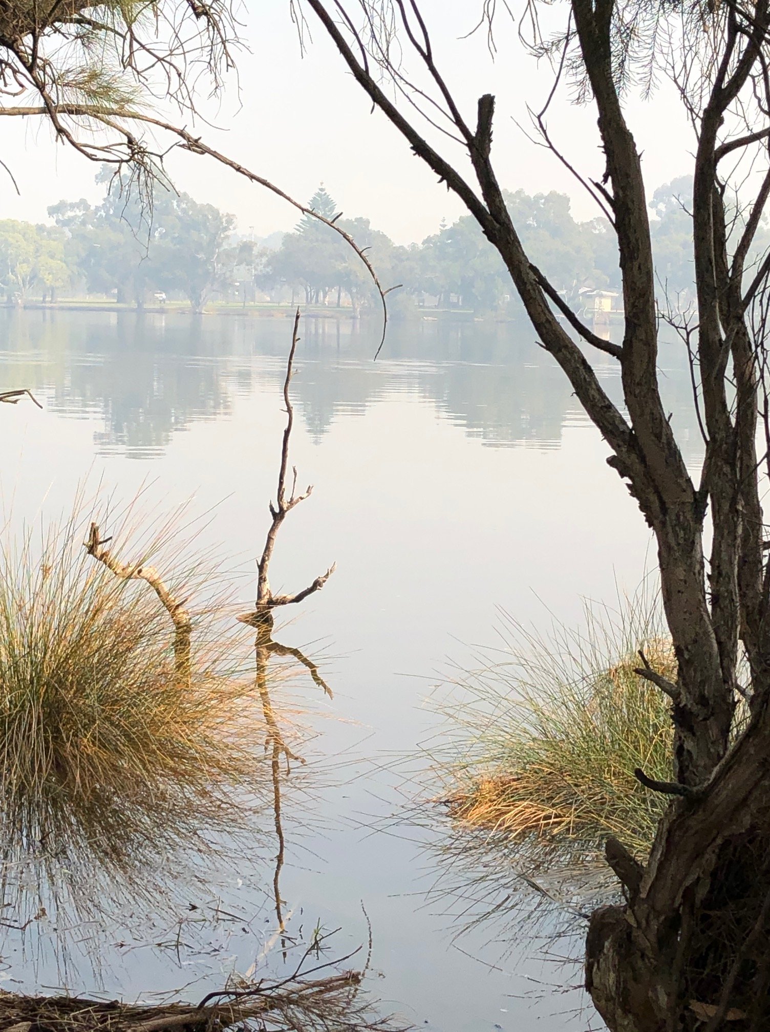 🌳 벨몬트 공원 (베루몬토 코엔) 이미지 6